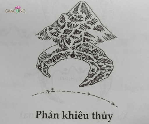 Phong Thủy Âm Trạch