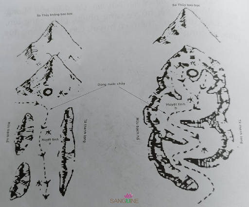 Phong Thủy Âm Trạch