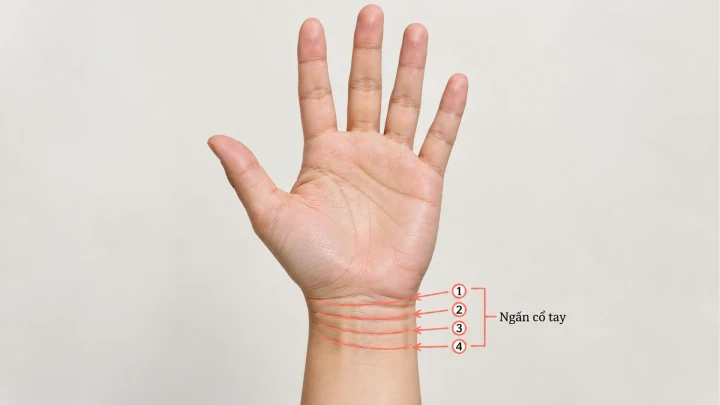 Ý nghĩa việc xem ngấn cổ tay