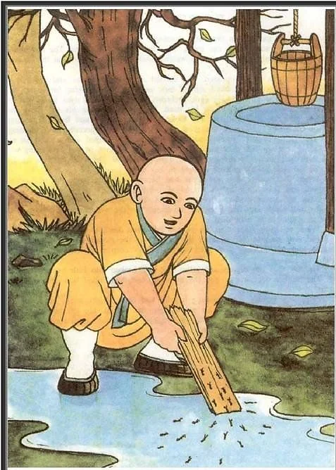 Chú tiểu Sa Di cứu sống đàn kiến