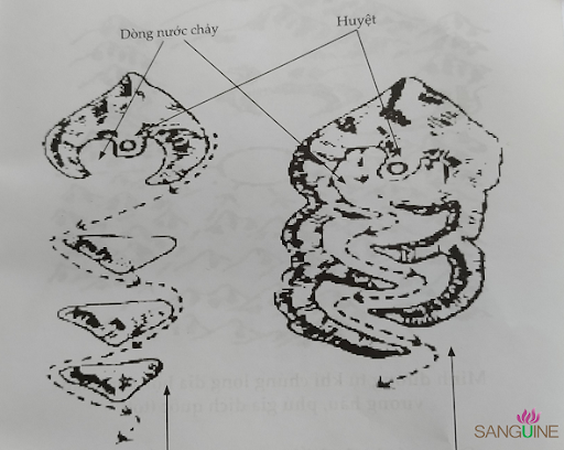 Phong Thủy Âm Trạch
