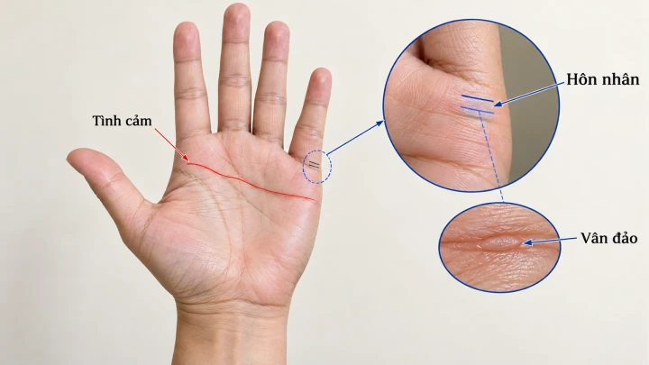Bạn đã thực sự hiểu ý nghĩa đường Tình cảm trên bàn tay mình?