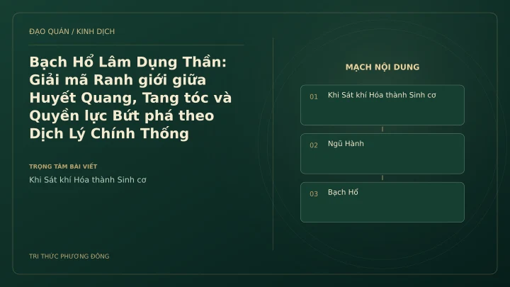 Minh họa Dịch học: Bạch Hổ Lâm Dụng Thần: Giải mã Ranh giới giữa Huyết Quang, Tang tóc và Quyền lực Bứt phá theo Dịch Lý Chính Thống