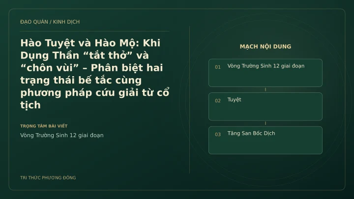 Minh họa Dịch học: Hào Tuyệt và Hào Mộ: Khi Dụng Thần “tắt thở” và “chôn vùi” – Phân biệt hai trạng thái bế tắc cùng phương pháp cứu giải từ cổ tịch