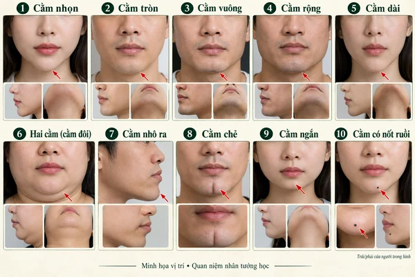 Minh họa vị trí và đường nét cho bài: 10 dáng cằm tiết lộ tính cách và vận mệnh – Nhìn qua cũng có thể đoán họa phúc một đời