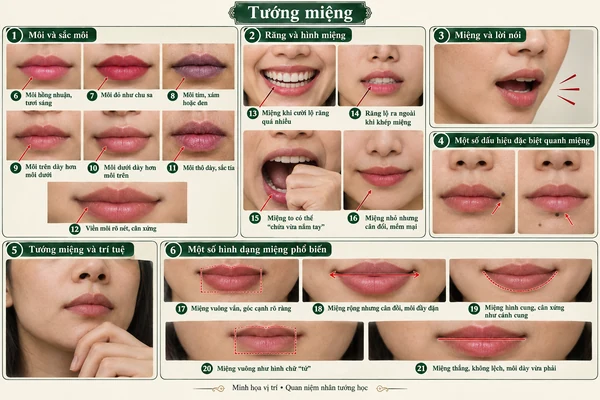 Minh họa vị trí và đường nét cho bài: Xem tướng miệng biết hoạ phúc cuộc đời